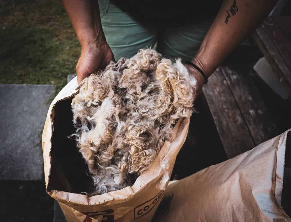 Fleece and Fibre: Textile Producers of Vancouver Island and the Gulf Islands