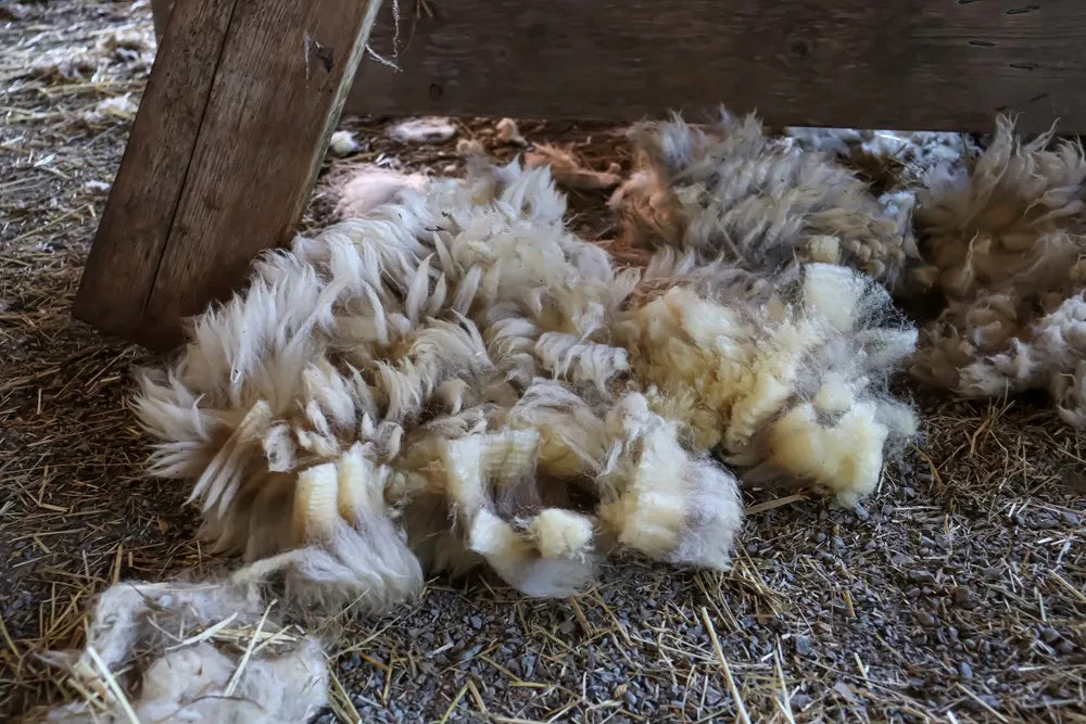 Fleece and Fibre: Textile Producers of Vancouver Island and the Gulf Islands