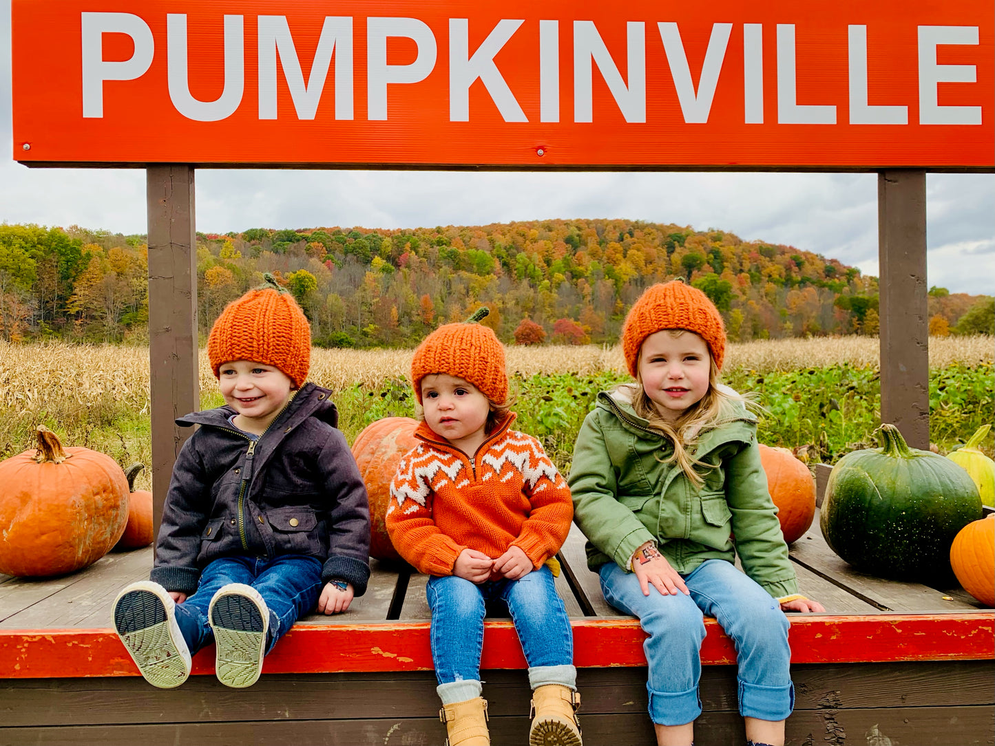 Pumpkin Beanie